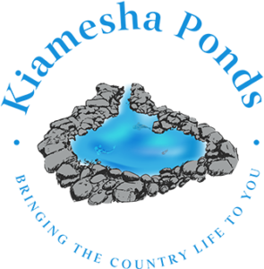 Kiamesha Ponds