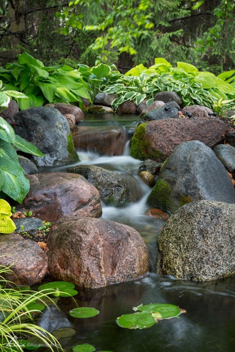 Waterfall with small pond and flowers